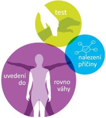 KINEZIOLOGIE